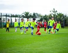 关于足球夜战:滇池天虎队逆转天山霹雳队,主帅临场妙招逆风翻盘的范本的信息 关于足球夜战:滇池天虎队逆转天山霹雳队,主帅临场妙招逆风翻盘的范本的信息